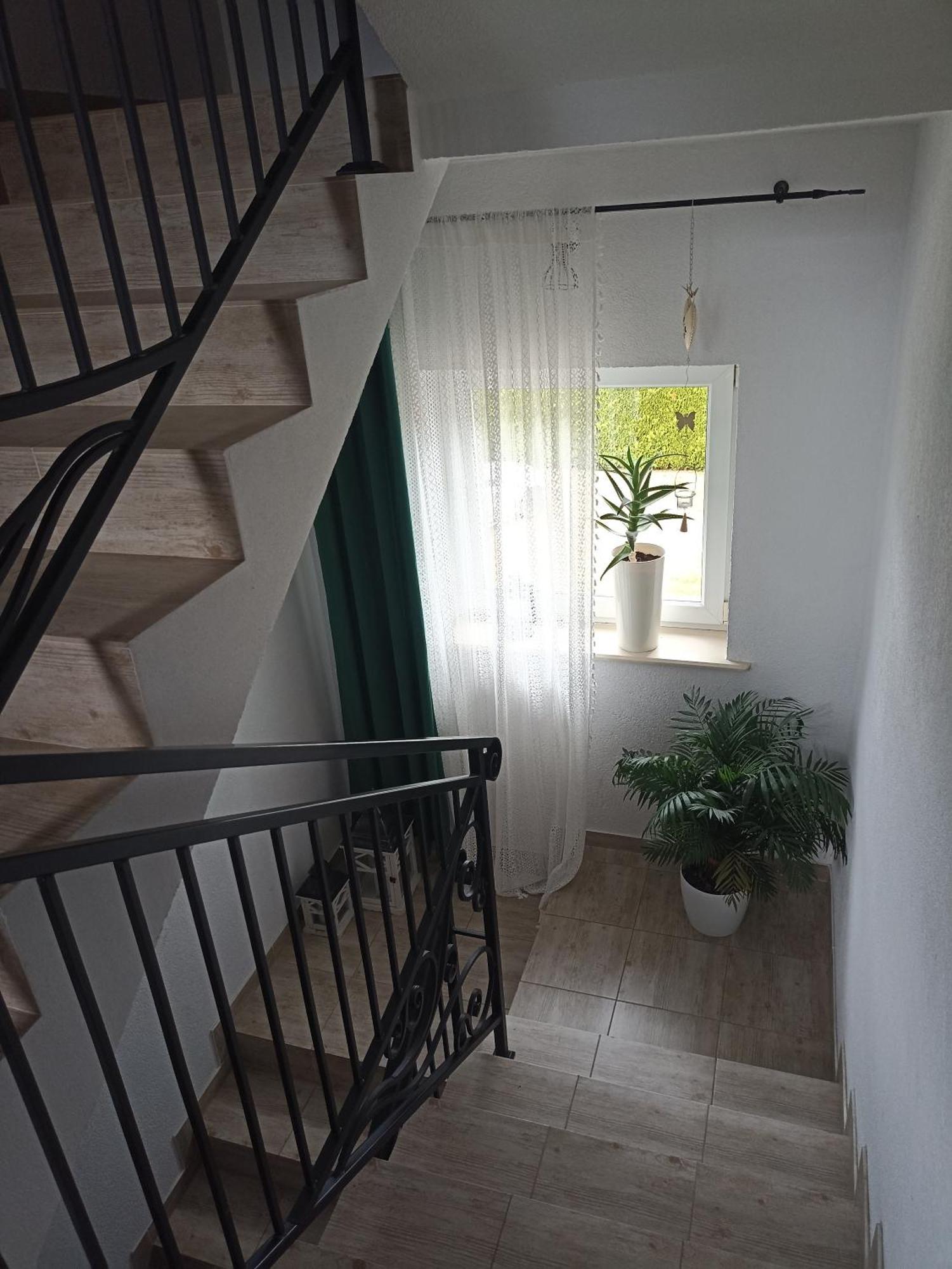 Homestay Goscinne Dominik